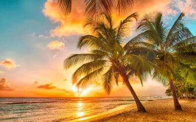 Vacation Escape Travel The Best of All Carribean Destinations