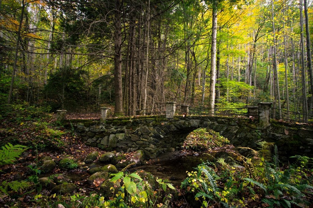 Affordable Family Fun in Tennessee By Vacation Escape Travel