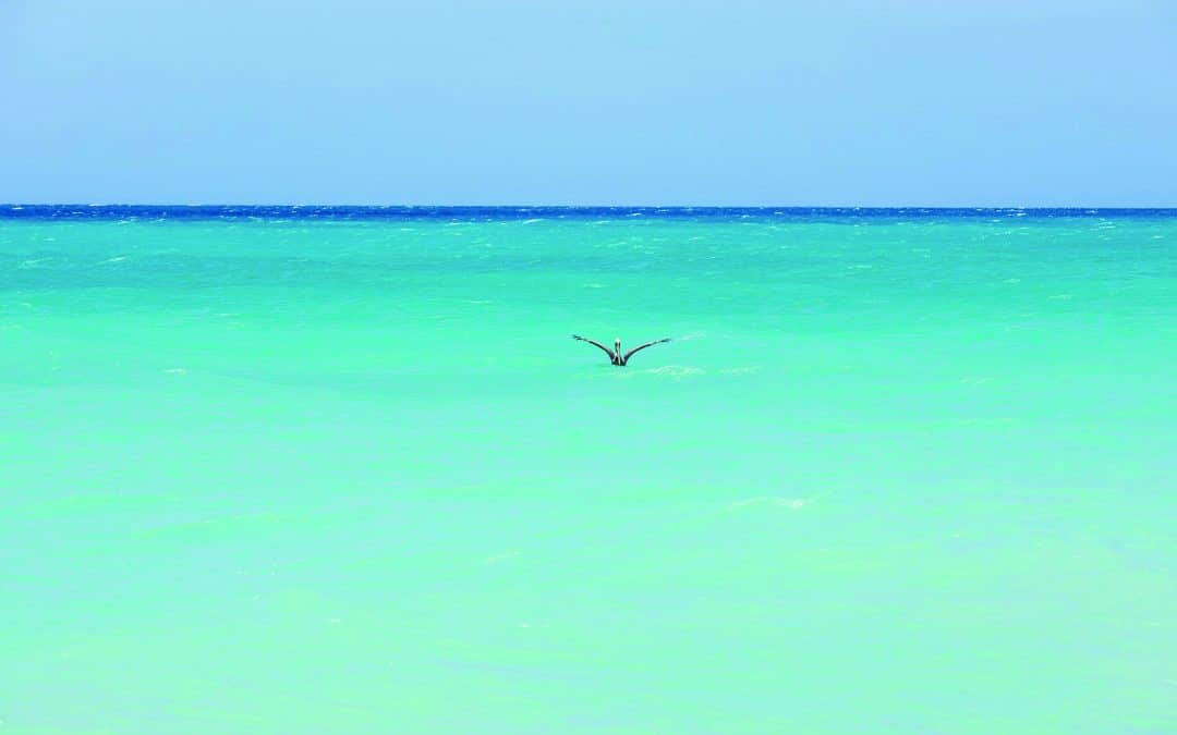 Vacation Escape Travel Explains Why Solo Travelers Love Aruba 4