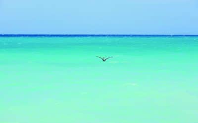 Vacation Escape Travel Explains Why Solo Travelers Love Aruba